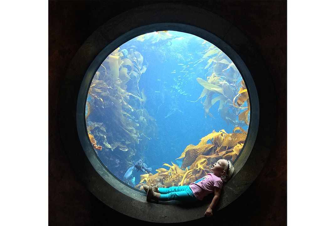 Zdjęcia finalistów Smithsonian Photo Contest zachwycają pięknem i różnorodnością życia 32