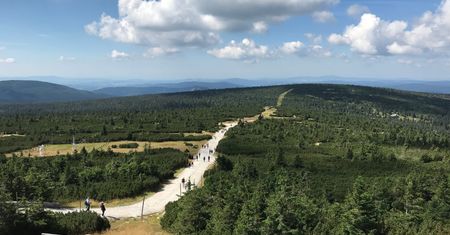 Czego nie wolno robić w lesie i parku narodowym? Odpowiadamy