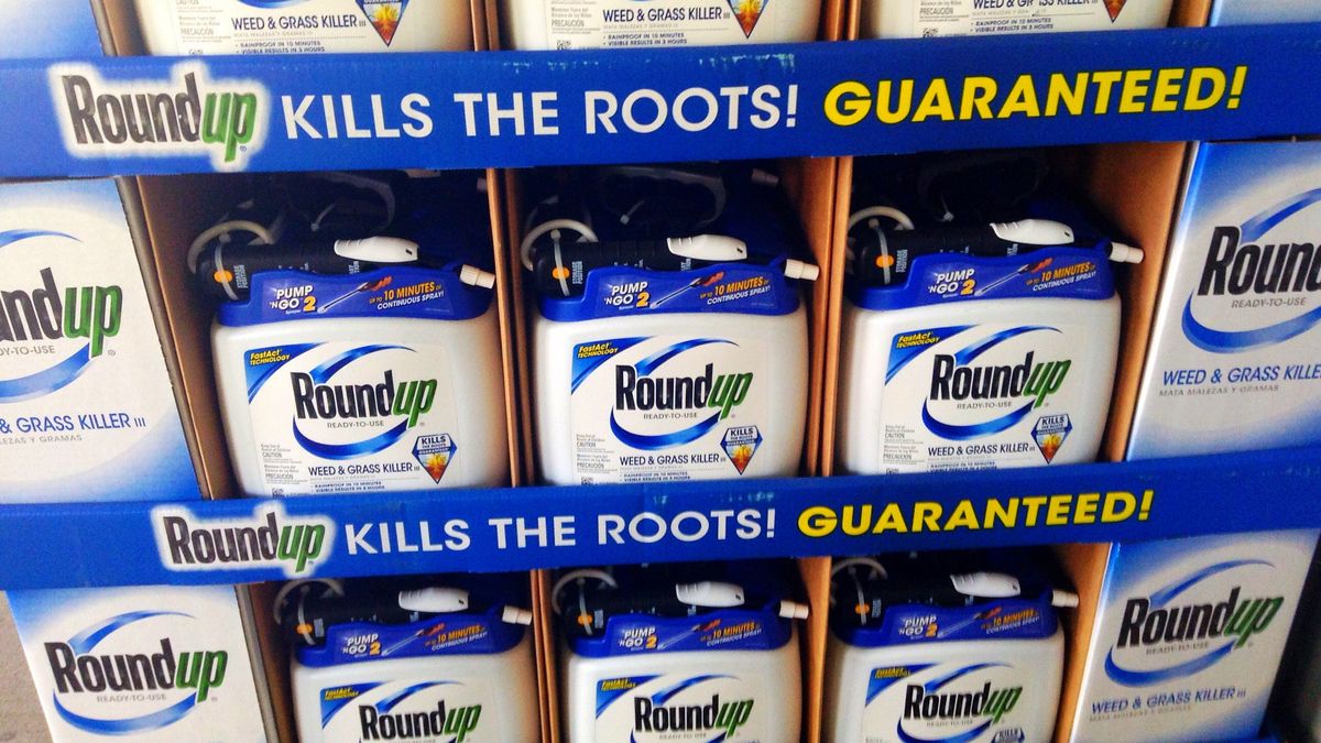 Bayer stoi na stanowisku, że Roundup nie przyczynia się do wystąpienia choroby nowotworowej 