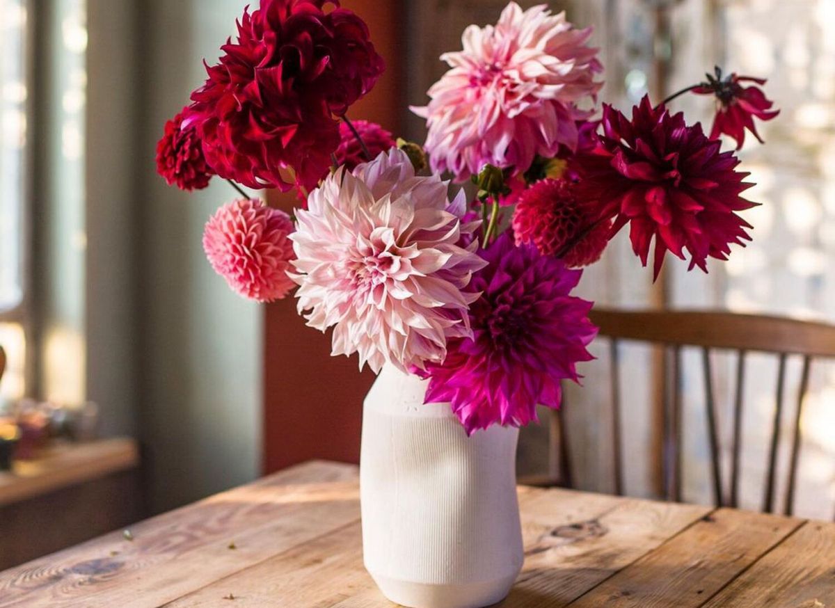 Symbolika kwiatów
Instagram/kwiatyimiut