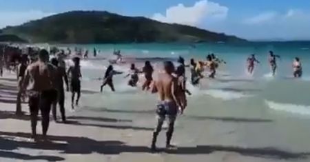 Totalna panika na plaży. Oto co pojawiło się w wodzie