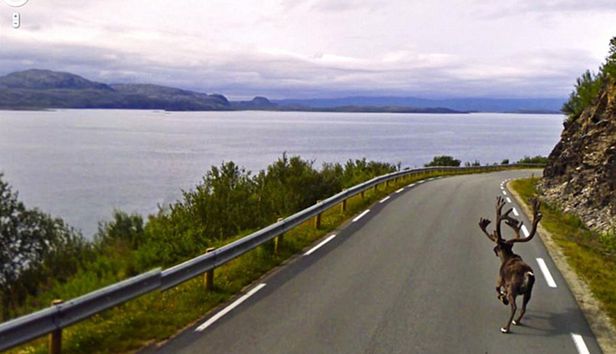 Google Street View widzi wszystko! Zobaczcie 12 niesamowitych zdjęć 6