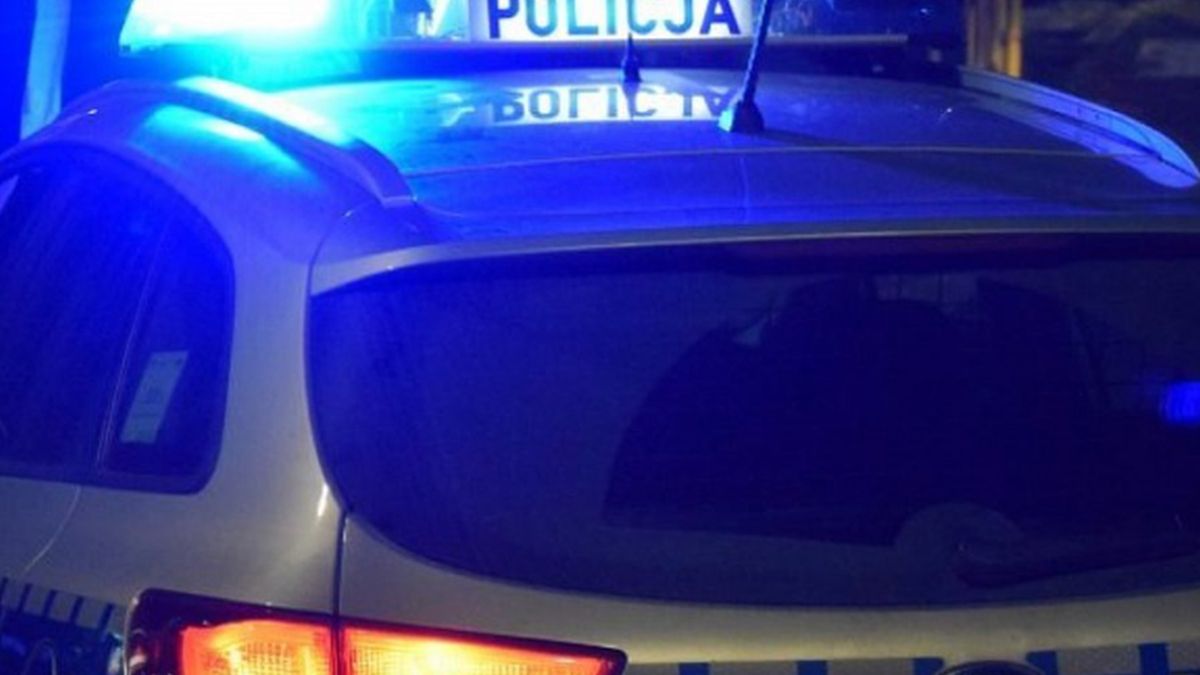 Rozmach, z którym działał gang zaskoczył policjantów i śledczych