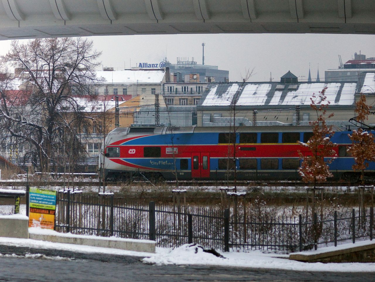 Czesi biją na alarm. Grzyb z Azji zagraża pociągom