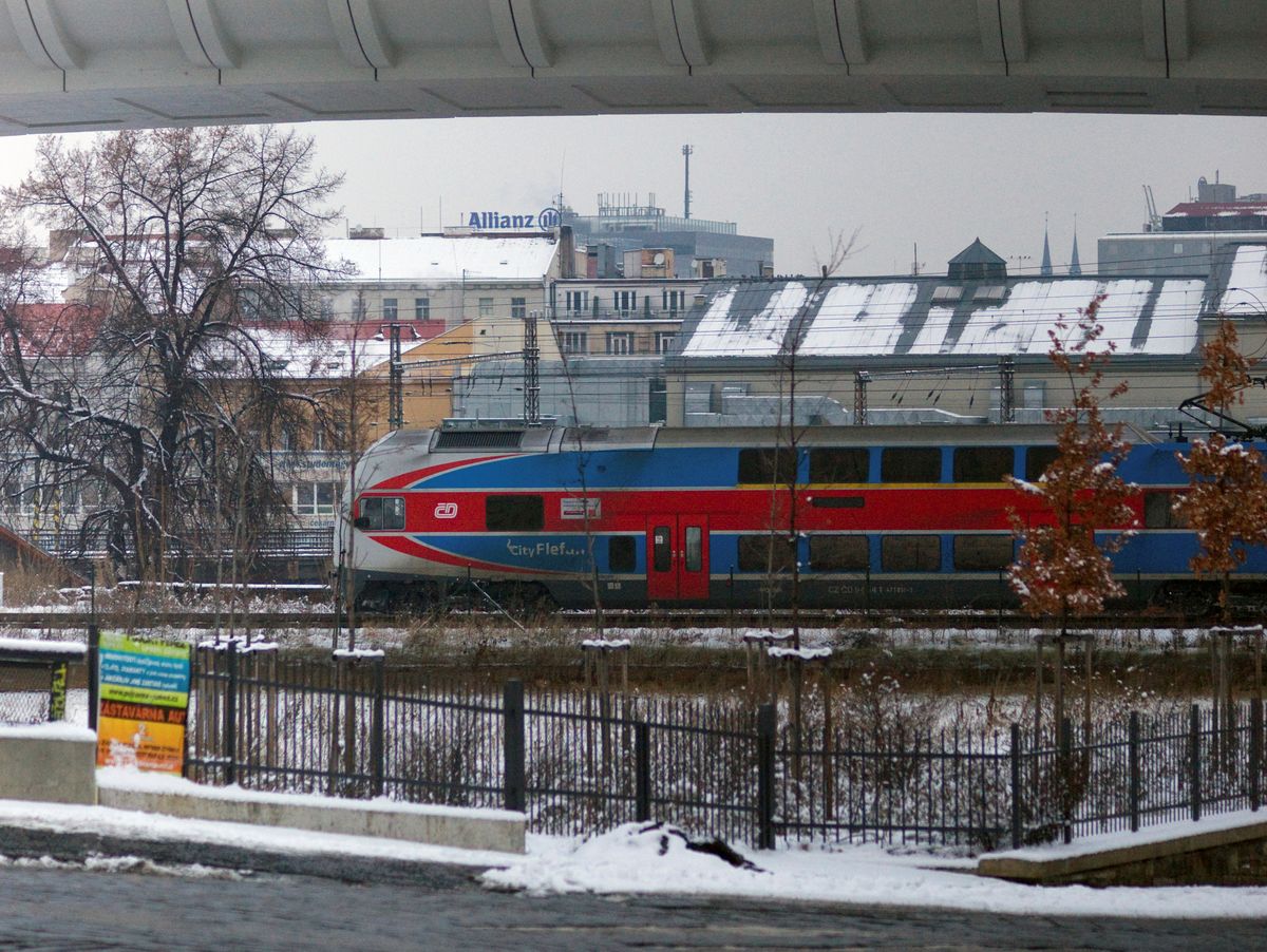  Grzyb z Azji zagraża czeskim pociągom. Zdjęcie ilustracyjne