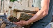 Drewno schnie za długo? Ten sposób zmienia wszystko już po kilku tygodniach