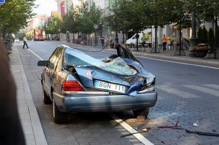 Ekstremalny sposób walki z łosiami parkingowymi na Litwie [wideo] 3