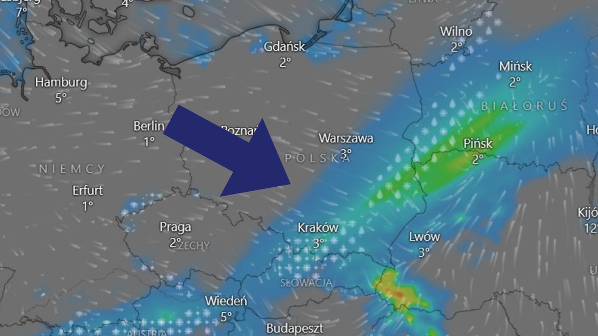 Pogoda na zimę. Niemcy opublikowali prognozę