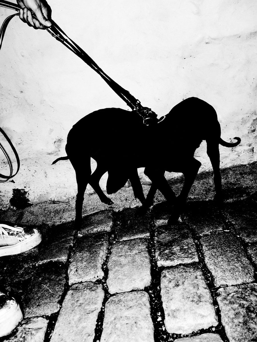 Fotografia uliczna według laureatów 4. edycji Leica Street Photo 5