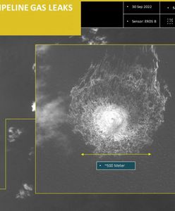 Wyciek z gazociągów Nord Stream. Nowe doniesienia z Niemiec