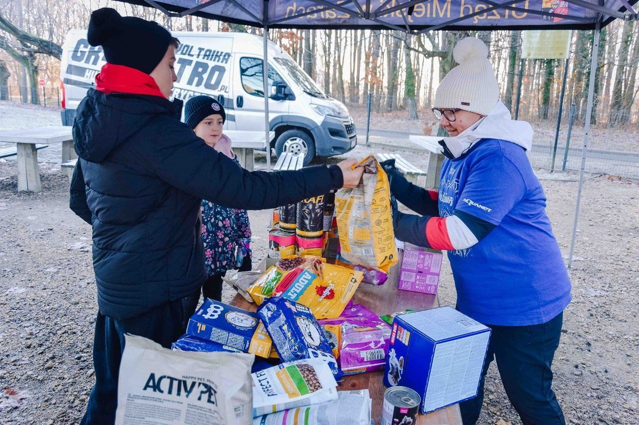 Biegiem po karmę w Żarach