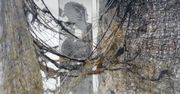 Lublin: Propozycja poświąteczna. Dwuczęściowa wystawa w Chatce Żaka