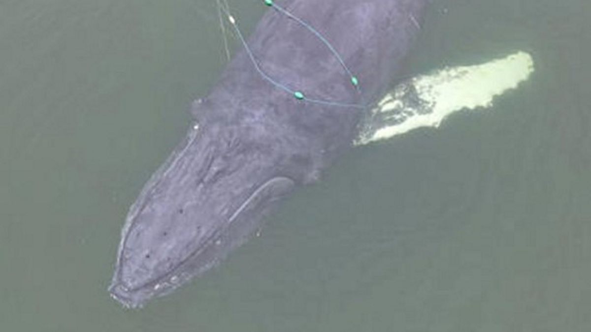 Zdjęcie ilustracyjne.
