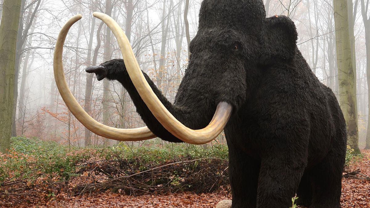 Firma chce wskrzecić mamuty