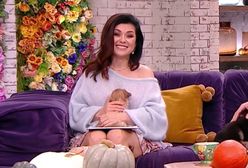 "Pytania na śniadanie" liderem oglądalności. "Dzień dobry TVN" w tyle!