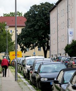 213,8 proc. wzrostu na rynku nieruchomości. "Jak w rekordowym roku 2021"