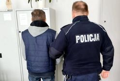 Zgotował kotu piekło. Wszystko przez gołębie