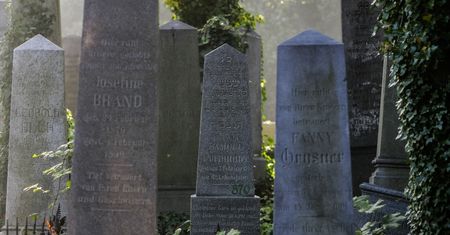 Bielsko-Biała. Będą dodatkowe lekcje, nauczą o historii miasta i tolerancji