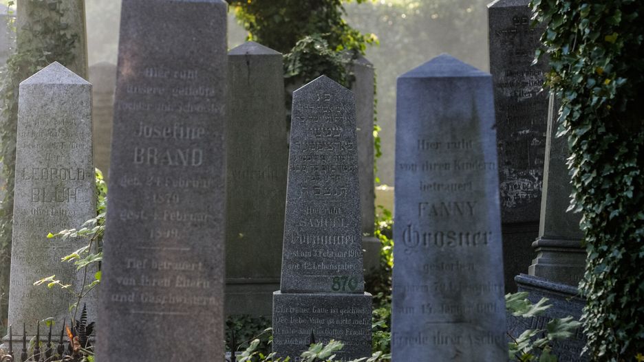 Bielsko-Biała. Po niedawnej dewastacji cmentarza żydowskiego miasto zorganizuje lekcje o historii miasta i tolerancji.