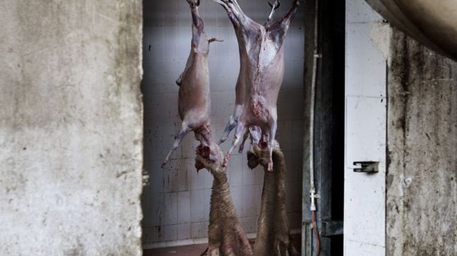 Rusza konkurs Sony World Photography Awards 2011 1