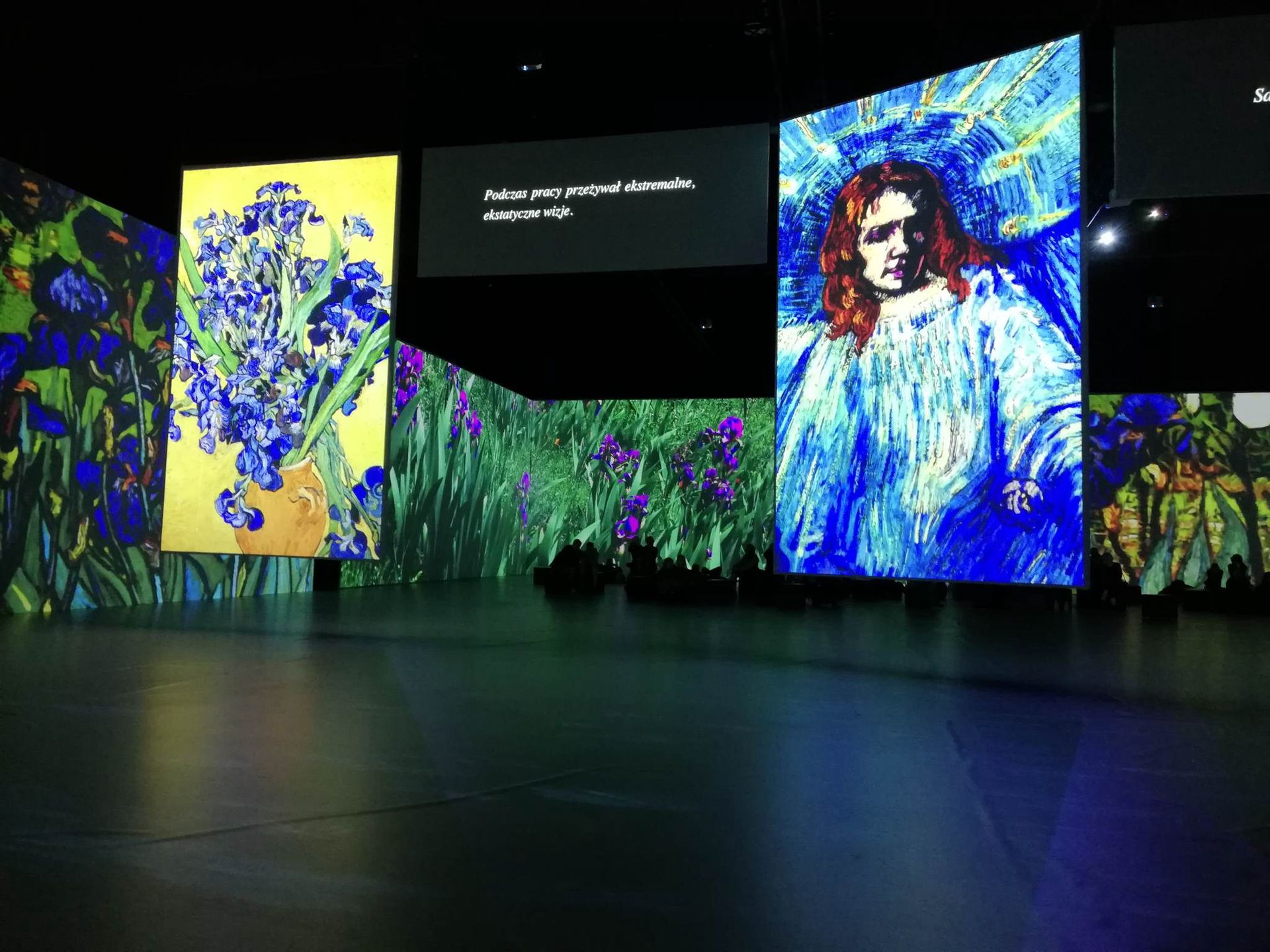 Fragmenty prac van Gogha z gdańskiej wystawy