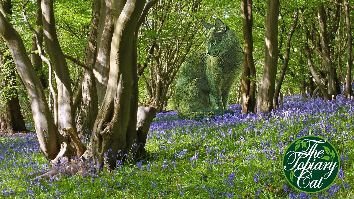 Tworzy surrealistyczne obrazy ku pamięci swojego kota. Zwierzę zastępują gigantyczne krzewy 1