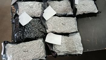 Ponad 40 kg marihuany w paczkach z Kanady. KAS rozbiła przemytniczy kanał