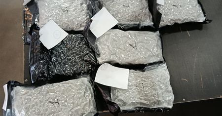 Ponad 40 kg marihuany w paczkach z Kanady. KAS rozbiła przemytniczy kanał