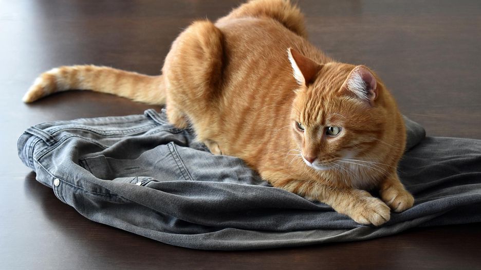 Twoje ubrania są prawdziwymi gąbkami zapachowymi