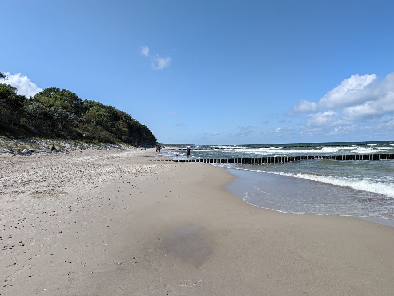 Pixel 11 Pro XL