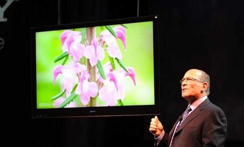 Sony BRAVIA - znamy ceny w przedsprzedaży 2