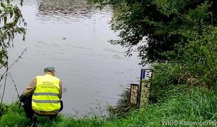 Poszło o Odrę. Poseł z Niemiec żąda ciosu dla polskiego rządu