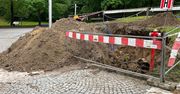 Gorzów: Rozkopy w parku Siemiradzkiego. Urzędnicy nic nie wiedzieli
