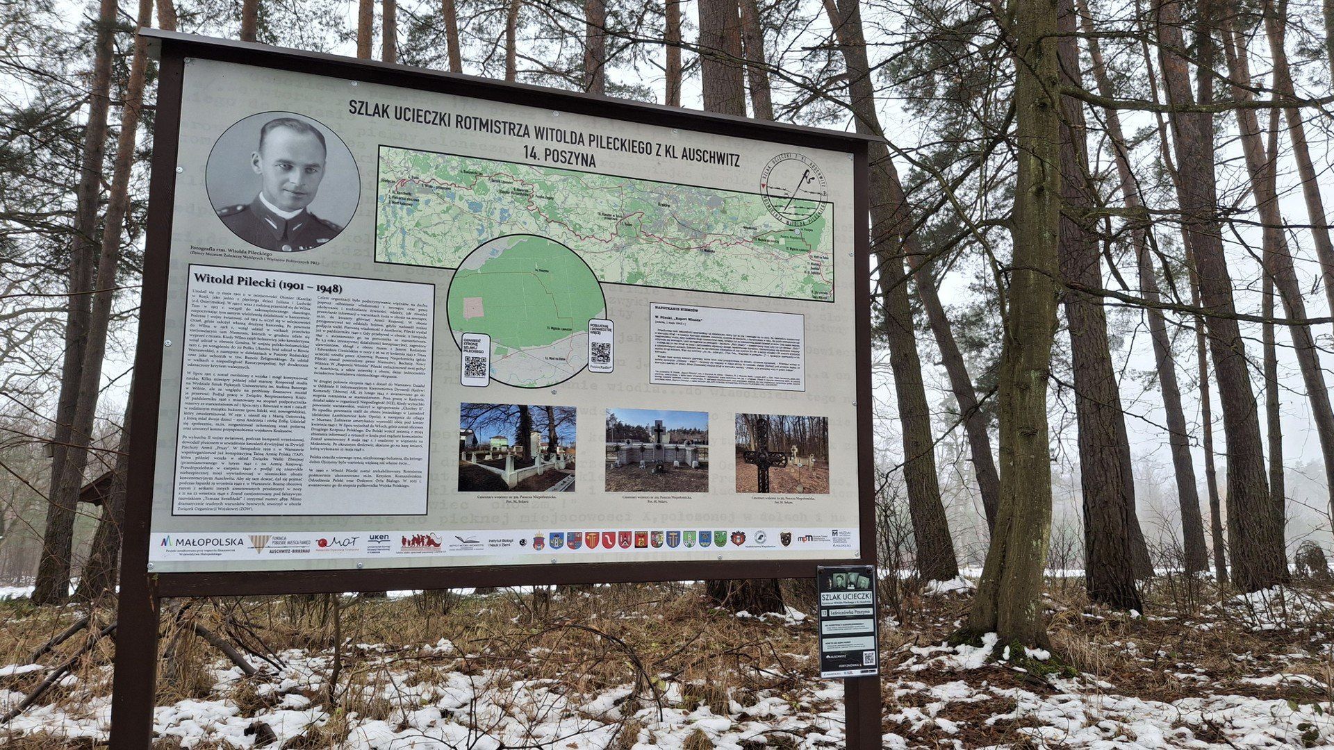 Tutaj żyją żubry. Wyjątkowe miejsce w sercu Puszczy Niepołomickiej