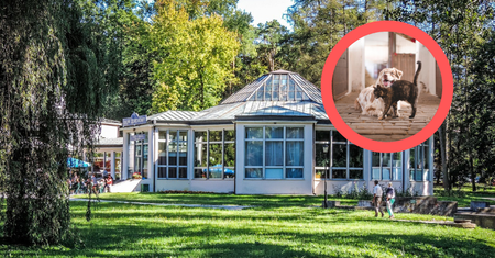 Ważna zmiana w sanatoriach. Skorzystają właściciele pupili