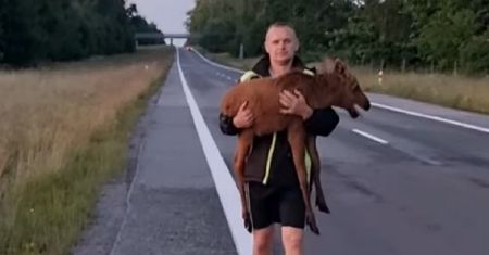 Rozpaczliwie nawoływał matkę. "Jeden telefon i zmienia się wszystko"