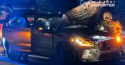 Potrącenie łosia przez auto na DK7. Zwierzę zginęło na miejscu