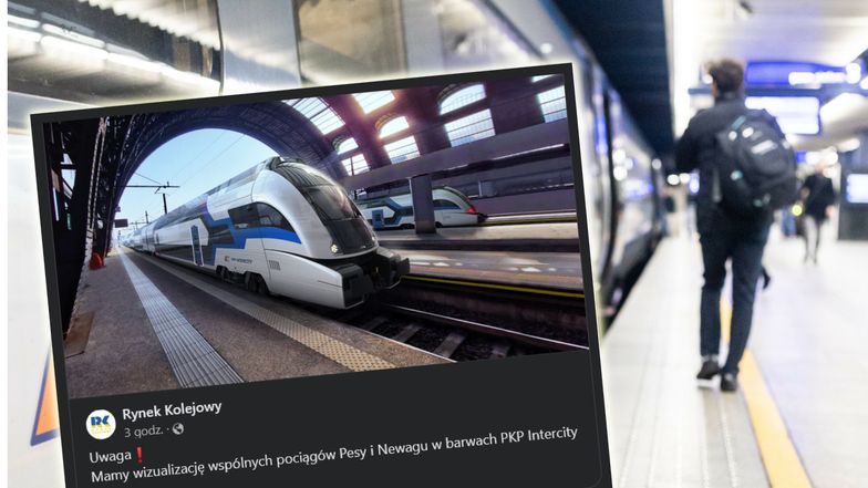 Wizualizacja zaoferowanych PKP IC nowych wagonów piętrowych