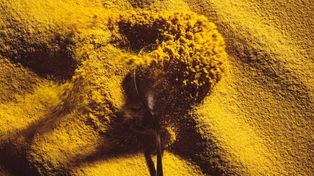 Jedzenie z bakterii uratuje astronautów? ESA tworzy białko z powietrza!