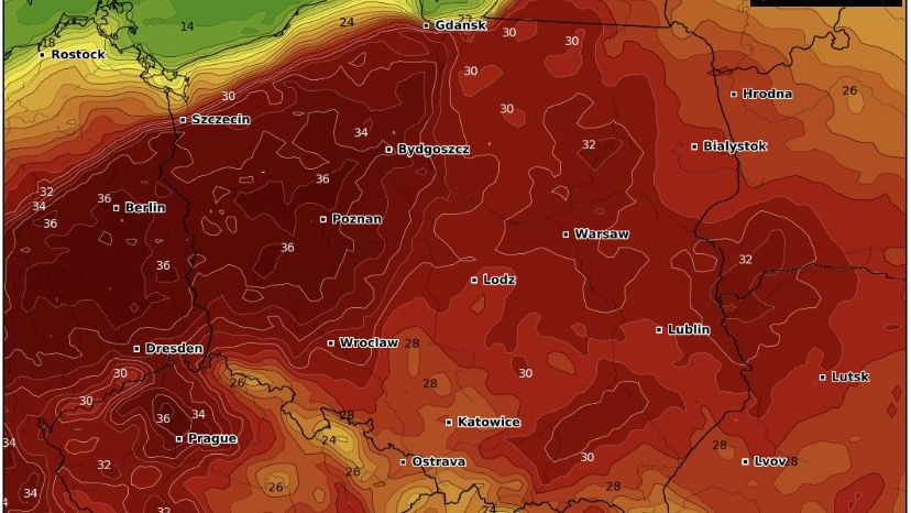 To już pewne: w weekend dotrze do nas pierwsza fala upałów. IMGW alarmuje  