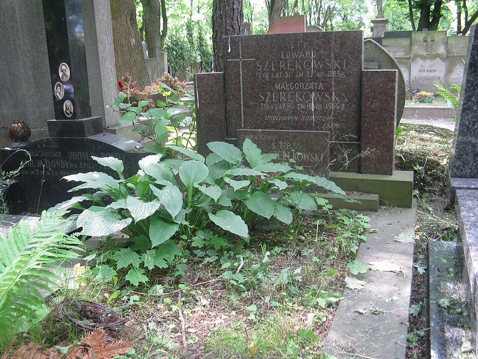 Grób Edwarda i Małgorzaty Szerękowskich na Starych Powązkach