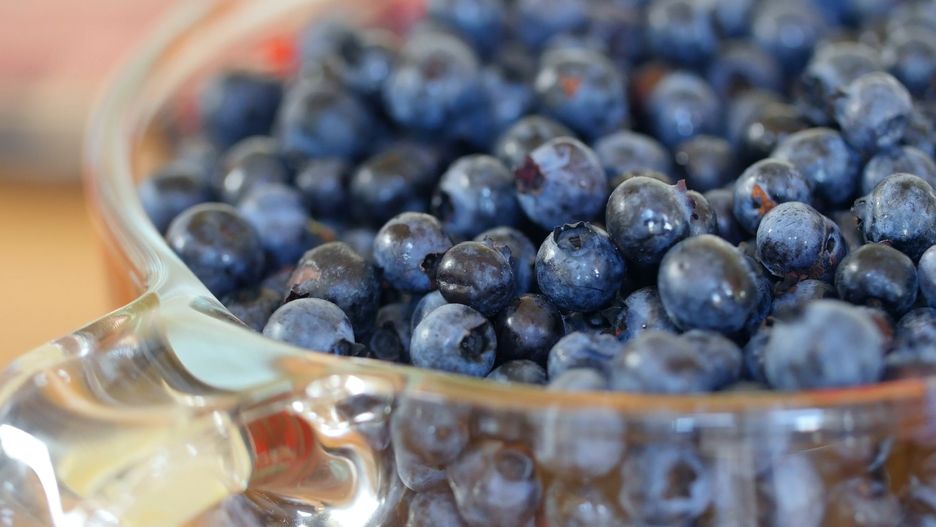 Borówki amerykańskie mogą przeciwdziałać chorobom serca i układu krążenia