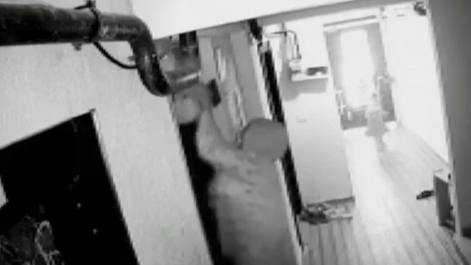 Niemowlę ginie zmiażdżone przez windę. Kamera nagrała przerażającą scenę