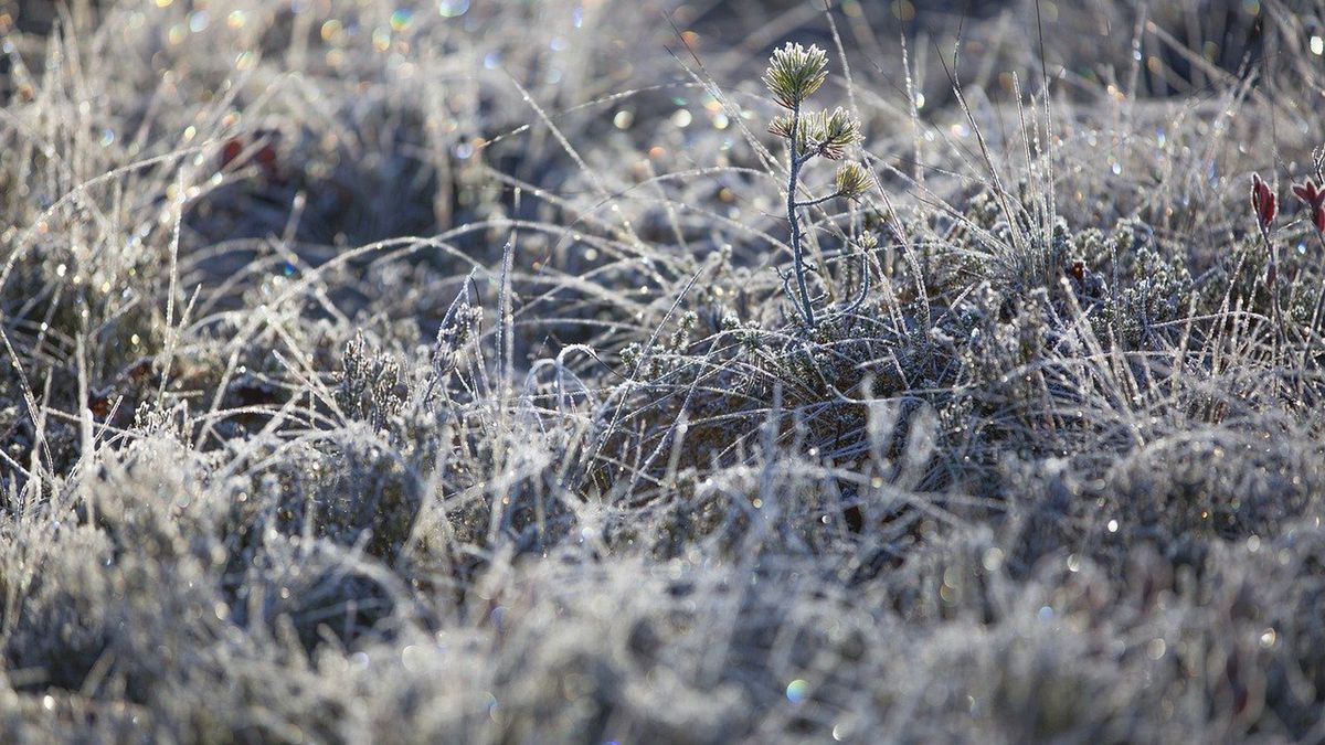 W ten weekend musimy się przygotować na przymrozki
