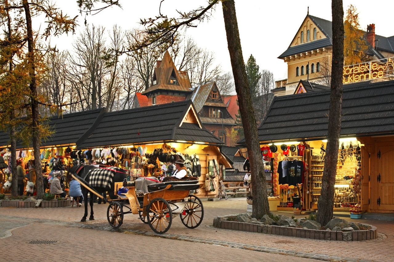 Biznesmen od jajecznicy za 67 zł chce postawić galerię. Sprzeciw Zakopanego