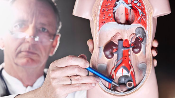 Pielografia to inwazyjne badanie radiologiczne, które polega na podaniu środka kontrastującego do miedniczki nerkowej lub moczowodu oraz wykonaniu zdjęcia rentgenowskiego.