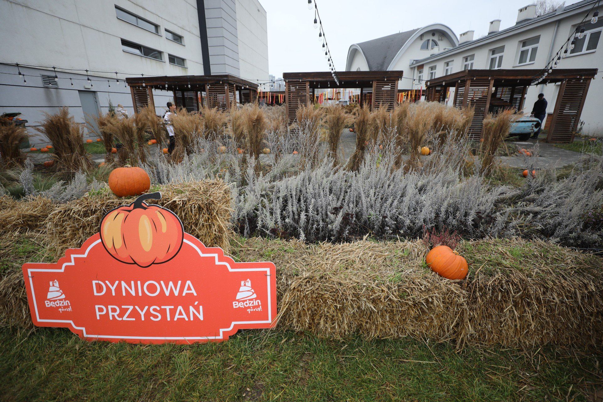 Dyniowa Przystań w Będzinie, a raczej to co z niej zostało. Tak prezentuje się teraz sezonowa atrakcja Zagłębia. Zobaczcie zdjęcia