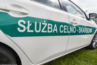 Tak kontrolowała skarbówka w 2024 roku. Oto jakie biznesy sprawdzała najczęściej