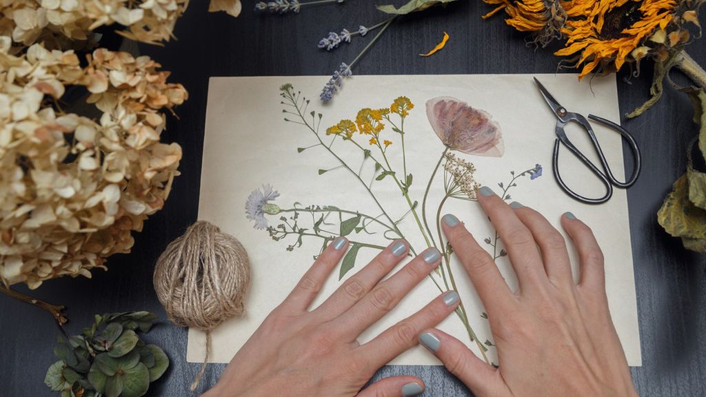 Zielnik to kolekcja zasuszonych roślin lub opisanych rycin