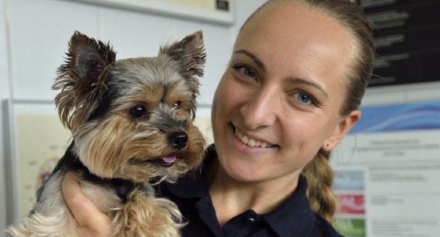 Ceva Animal Health Polska klientem Friends&Brands